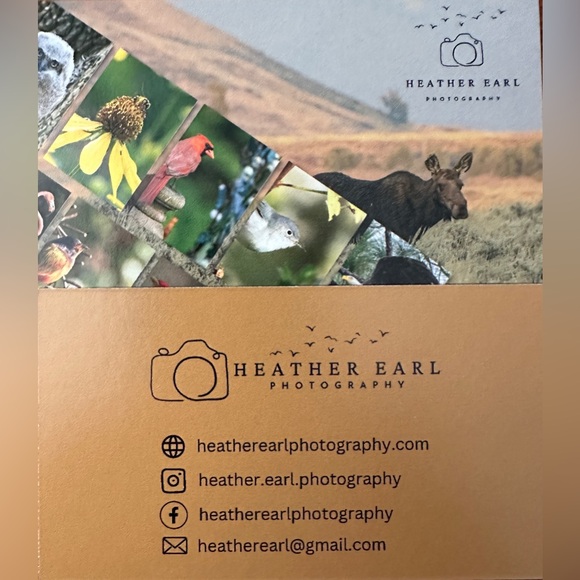 Set of 6 - Handcrafted Photo Greeting Card - Male Northern Cardinal - Picture 3 of 3